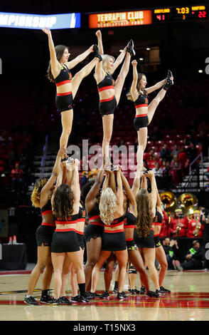 College Park, MD, USA. Mar 23, 2019. Le Maryland Terrapins cheerleaders effectuer au cours d'une première ronde de la NCAA Women's Championship match entre l'Université du Maryland Terrapins et le Radford Highlanders à l'Eurosport France Centre à College Park, MD. Justin Cooper/CSM/Alamy Live News Banque D'Images