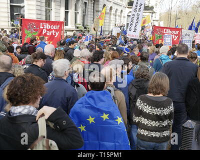 Londres, Angleterre. 23 mars, 2019. Des milliers de personnes de mars à Westminster pour la demande d'un second référendum sur la question de savoir si ou pas la Grande-Bretagne devrait quitter l'UE. Crédit : Anna Stowe/Alamy Live News Banque D'Images