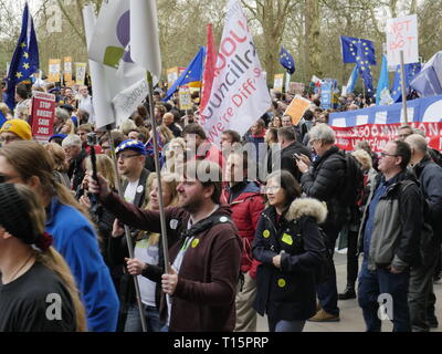 Londres, Angleterre. 23 mars, 2019. Des milliers de personnes de mars à Westminster pour la demande d'un second référendum sur la question de savoir si ou pas la Grande-Bretagne devrait quitter l'UE. Crédit : Anna Stowe/Alamy Live News Banque D'Images