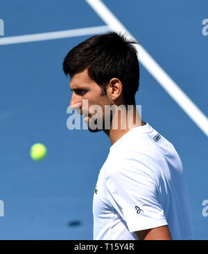 Miami, USA. Mar 21, 2019. Novak Djokovic la Serbie joue sur une cour pratique au Hard Rock stade lors de l'Open de Miami le 21 mars 2019 à Miami Gardens, en Floride. (Paul Hennessy/Alamy) Crédit : Paul Hennessy/Alamy Live News Banque D'Images