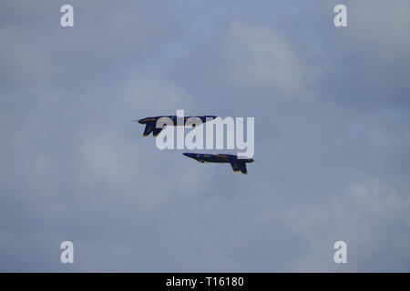 Californie, USA. Mar 23, 2019. 23 mars 2019, Salinas, Californie, USA Des scènes de l'assemblée annuelle du Bourget Salinas, avec l'US Navy 'Blue Angels' arobatic équipe ici vu la préparation et l'exécution, défiler de façon spectaculaire au-dessus de l'aérodrome. Credit : Motofoto/Alamy Live News Banque D'Images