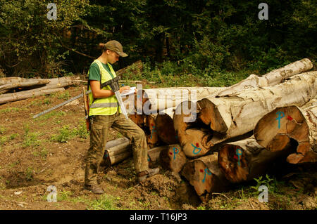 Jeune femme ranger vérifie la qualité du bois. Au travail forestier. Banque D'Images