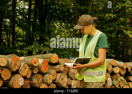 Jeune femme ranger vérifie la qualité du bois. Au travail forestier. Banque D'Images