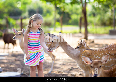 L'alimentation de l'enfant les cerfs sauvages au zoo pour enfants. Les enfants nourrir les animaux à l'extérieur du parc safari. Petite fille regardant renne sur une ferme. Kid et animal. Famille Banque D'Images