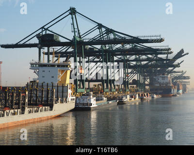 Anvers, Belgique - le 28 mars 2017 : les grues du port de décharge des conteneurs à partir de navires sur un matin ensoleillé dans le port d'Anvers. Banque D'Images