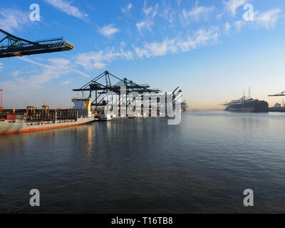 Anvers, Belgique - le 28 mars 2017 : les grues du port de décharge des conteneurs à partir de navires sur un matin ensoleillé dans le port d'Anvers. Banque D'Images