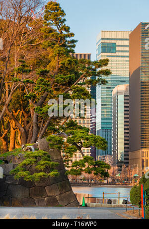 Le Japon entre tradition et modernité. Les bâtiments modernes du centre-ville en face du château de Tokyo vieux murs et douves Banque D'Images