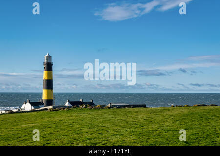 C'est une photo de St John's Point Phare sur la côte est de l'Irlande du Nord sur la mer d'Irlande. C'est l'une des portes des nombreuses zones côtières emblématique li Banque D'Images