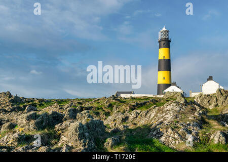 C'est une photo de St John's Point Phare sur la côte est de l'Irlande du Nord sur la mer d'Irlande. C'est l'une des portes des nombreuses zones côtières emblématique li Banque D'Images