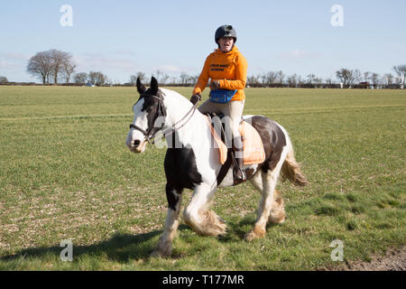 2019 Kiplingcotes Derby Banque D'Images