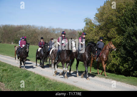 2019 Kiplingcotes Derby Banque D'Images