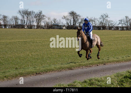 2019 Kiplingcotes Derby Banque D'Images