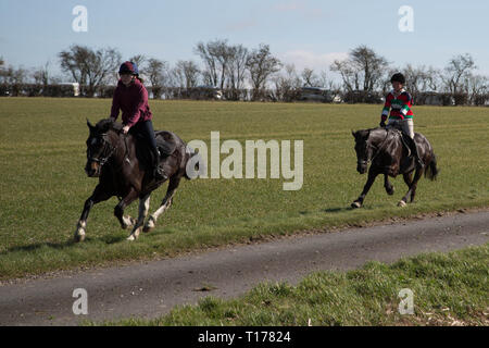 2019 Kiplingcotes Derby Banque D'Images