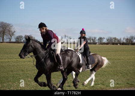 2019 Kiplingcotes Derby Banque D'Images