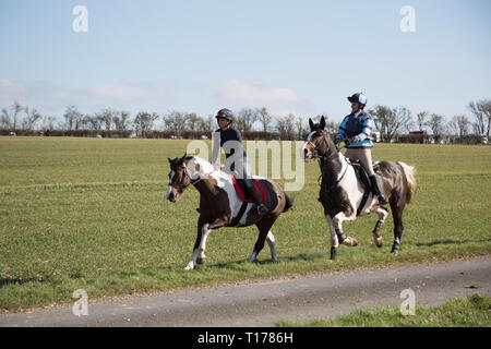 2019 Kiplingcotes Derby Banque D'Images