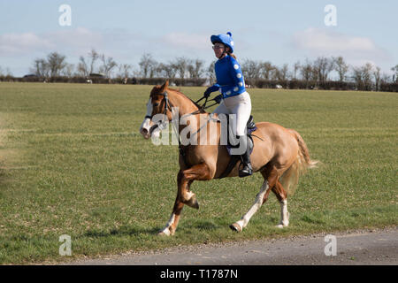 2019 Kiplingcotes Derby Banque D'Images