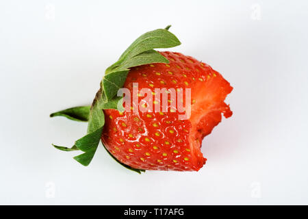 Un mordu de fraises. Isolé sur un fond blanc. Banque D'Images