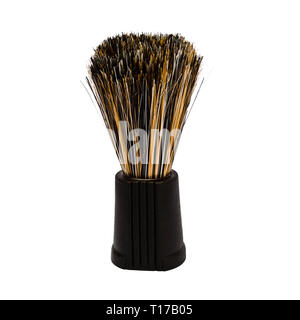 Blaireau isolé sur fond blanc Banque D'Images