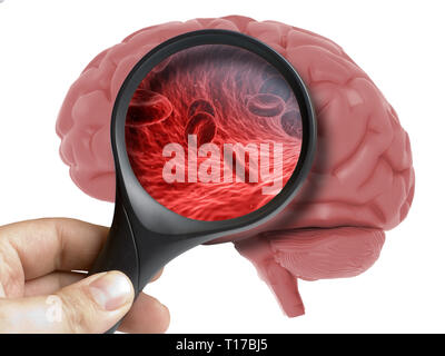 Cerveau humain analysé avec une loupe à l'intérieur des cellules du sang isolated on white Banque D'Images