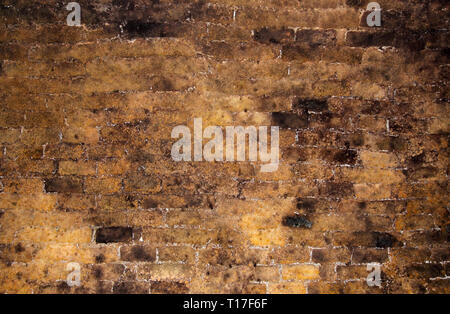 Mur de brique à l'intérieur d'une ancienne cave à vin en arrière-plan Banque D'Images