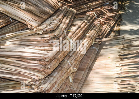 Une pile de sagoutier à sec les toits. Banque D'Images