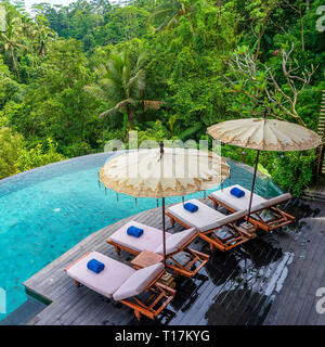 Vue sur la piscine et les transats de l'eau dans la jungle tropicale dans la matinée près de Ubud, Bali, Indonésie , vue d'en haut Banque D'Images