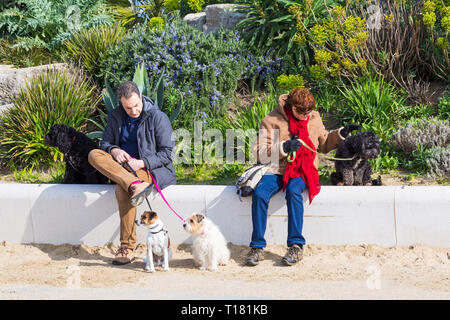 Bournemouth, Dorset, Royaume-Uni.24 mars 2019.Météo au Royaume-Uni : belle journée ensoleillée avec un ciel bleu et un soleil chaud sur les plages de Bournemouth, tandis que les visiteurs se rendent au bord de la mer pour profiter au maximum du temps glorieux.Homme et femme assis sur le mur avec leurs chiens.Crédit : Carolyn Jenkins/Alay Live News Banque D'Images