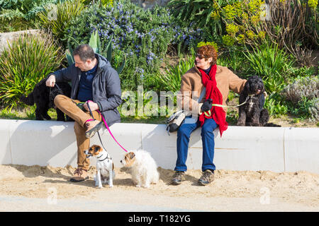 Bournemouth, Dorset, Royaume-Uni.24 mars 2019.Météo au Royaume-Uni : belle journée ensoleillée avec un ciel bleu et un soleil chaud sur les plages de Bournemouth, tandis que les visiteurs se rendent au bord de la mer pour profiter au maximum du temps glorieux.Homme et femme assis sur le mur avec leurs chiens.Crédit : Carolyn Jenkins/Alay Live News Banque D'Images