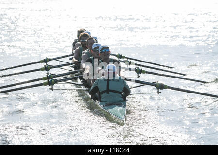 Londres, Royaume-Uni. 24Th Mar, 2019. 24 mars 2019. Boat Race. CUBC contre Oxford Brookes. En tant que préparation aux courses de bateaux, l'Oxford et Cambridge clubs participent à un certain nombre de matchs contre d'autres clubs, l'aviron même Tideway cours comme utilisé pour la course de bateau. Liste d'équipage CUBC (chemises bleu clair) :- CP : Natan Wegrzycki-Szymczyk, 7 : Freddie Davidson, 6 : Sam 5 : Callum Hookway, Sullivan, 4 : Dara Alizadeh, 3 : Grant, Mme Bitler 2 : James Cracknell, Bow : Dave Bell, Cox : Matthew Holland Credit : Duncan Grove/Alamy Live News Banque D'Images