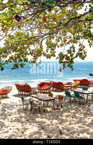 Sihanoukville, Cambodge - 9 mars, 2019 : Tables et chaises d'un café dans la verrière de l'arbre la belle sur la plage Terminalia catappa n Banque D'Images