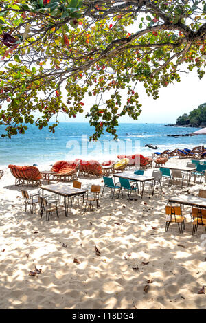 Sihanoukville, Cambodge - 9 mars, 2019 : Tables et chaises d'un café dans la verrière de l'arbre la belle sur la plage Terminalia catappa n Banque D'Images