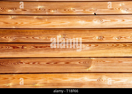 Fait de lumière de fond bois chêne jaunâtre Banque D'Images