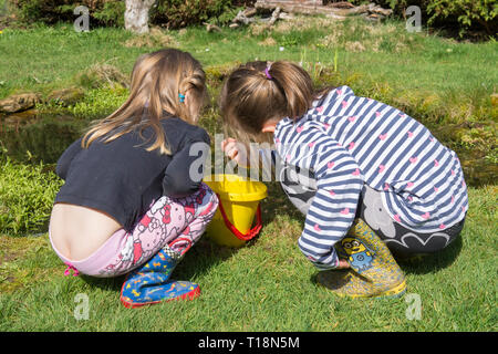 Deux jeunes filles trempant dans de l'étang de la faune jardin étang têtards dépose dans le godet, sœurs, trois et sept ans. UK. Mars. Banque D'Images