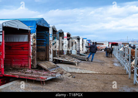 Vue depuis l'élevage des animaux domestiques Cayirbag marché près de Afyonkarahisar.Afyonkarahisar est une ville dans l'ouest de la Turquie, la capitale de la Province d''Afyon. Banque D'Images