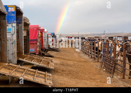 Vue depuis l'élevage des animaux domestiques Cayirbag marché près de Afyonkarahisar.Afyonkarahisar est une ville dans l'ouest de la Turquie, la capitale de la Province d''Afyon. Banque D'Images