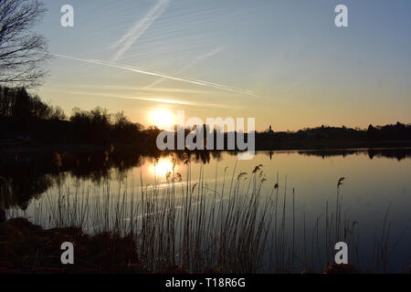 Lac de Bavière dans l'heure d'or. Les derniers rayons du soleil brillent par reed à la rive. Banque D'Images