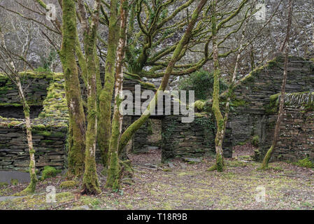 Dorothea Ardoise, Nantlle Valley, Pays de Galles, Gwynedd, UK Banque D'Images