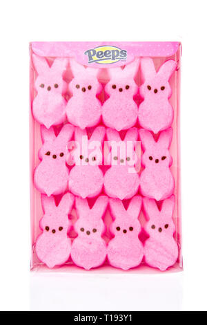 Winneconne, WI - 17 mars 2019 : un paquet de bonbons de pâques Peeps en rose et lapin de Pâques sur un fond isolé Banque D'Images