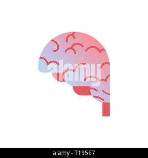 L'icône de l'anatomie du cerveau organe humain santé concept médical fond blanc Illustration de Vecteur