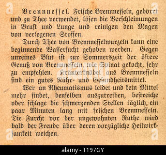 Spécialiste en médecine, livre, naturopathie, 'Rathgeber fuer Gesunde und Kranke' (Compagnon pour la bonne santé et les malades), par Sebastian Kneipp (1821 - 1897), le paragraphe sur la grande ortie, Donauwoerth, 1891 Additional-Rights Clearance-Info,--Not-Available Banque D'Images