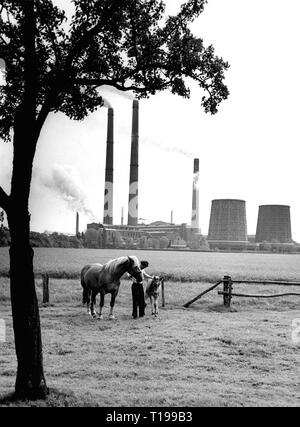 L'exploitation minière, des mines, des mines de charbon, Scholven, Gelsenkirchen, vue extérieure, vers 1960, Additional-Rights Clearance-Info-Not-Available- Banque D'Images