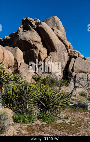 Les formations de roche de granit viennent dans beaucoup de formes incroyables - Joshua Tree National Park, Californie Banque D'Images