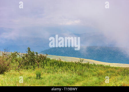 Prairie alpine sur un jour nuageux. paysage de montagne d'été mystérieux du temps orageux. Banque D'Images