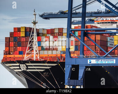 Le commerce britannique UK Trade - le porte-conteneurs MSC Maya charge et décharge des conteneurs à Felixstowe, le plus grand port à conteneurs. Banque D'Images