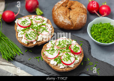 Des sandwichs avec du fromage cottage, de radis et de ciboulette Banque D'Images