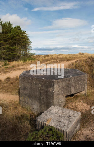 World War 2 tambourin Tentsmuir au National Nature Reserve, Fife, en Écosse. Banque D'Images