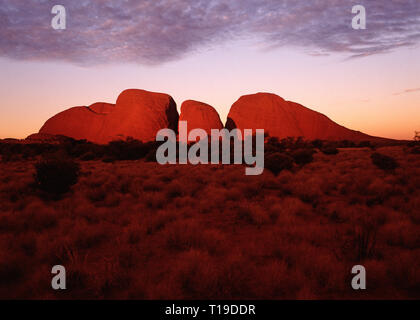 L'Australie. Territoire du Nord. Région d'Alice Springs. Le Kata Tjuta (Mont Olga) (les Olgas). La lumière de fin de soirée. Banque D'Images