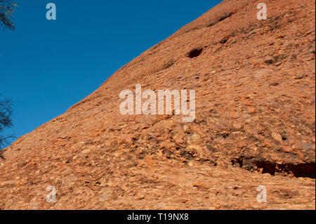 Dômes rouges de Kata Tjuta contre un ciel bleu clair Banque D'Images