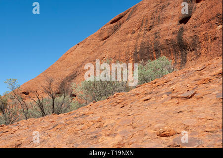 Dômes rouges de Kata Tjuta contre un ciel bleu clair Banque D'Images