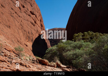 Dômes rouges de Kata Tjuta contre un ciel bleu clair Banque D'Images